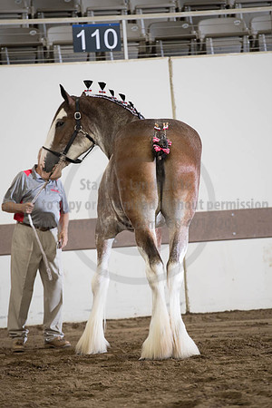 ISF_08152017_SCL_5748