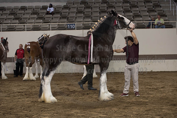 ISF_08152017_SCL_5771