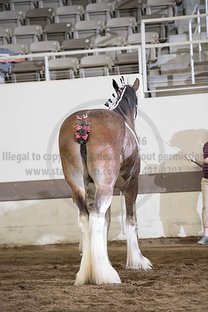 ISF_08152017_SCL_5801