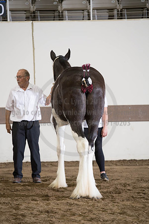 ISF_08152017_SCL_5838