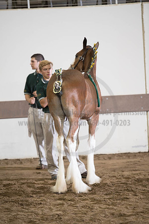 ISF_08152017_SCL_5948