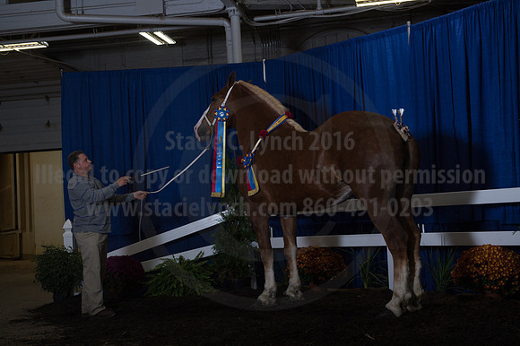 NABC8_10152016_SCL_1877