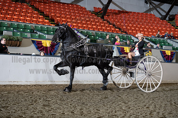 BigE_20221002-SCL_4439