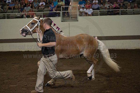 ISF_08192016_SCL_5744