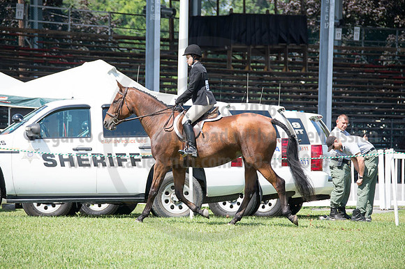2016DCF_08262016_SCL_0469