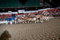 BigE_20221002-SCL_4768
