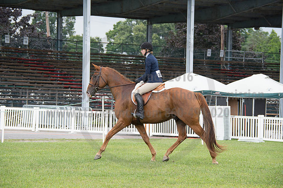2016DCF_08262016_SCL_0389