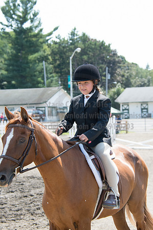 2016DCF_08242016_SCL_8955