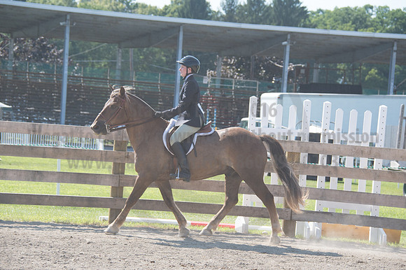 2016DCF_08242016_SCL_9284
