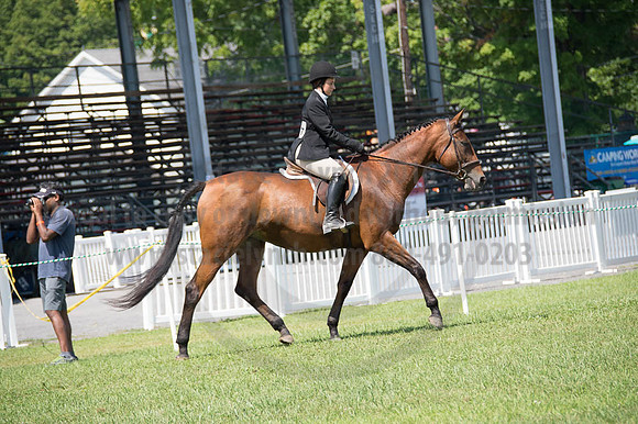 2016DCF_08262016_SCL_0491
