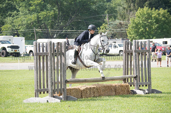 2016DCF_08262016_SCL_0325