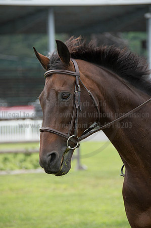 2016DCF_08252016_SCL_0008