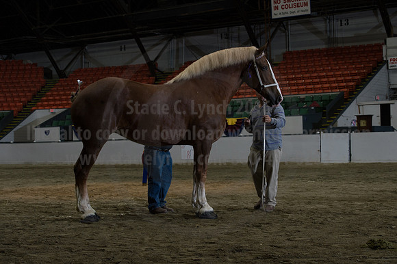 NABC8_10152016_SCL_1848