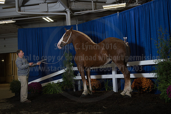 NABC8_10152016_SCL_1906