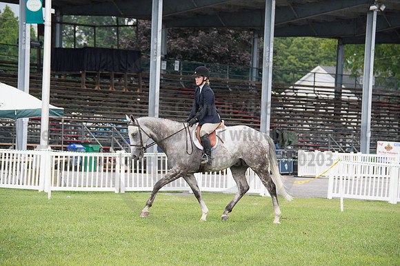 2016DCF_08262016_SCL_0384