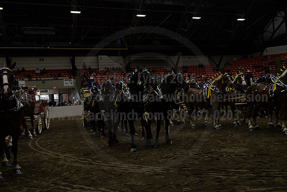 BigE_20221002-SCL_5195