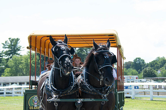 2016DCF_08262016_SCL_0592