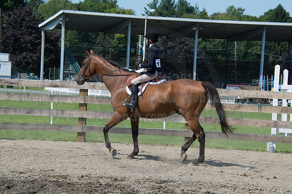 2016DCF_08242016_SCL_8773