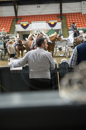NABC8_10132016_SCL_7844