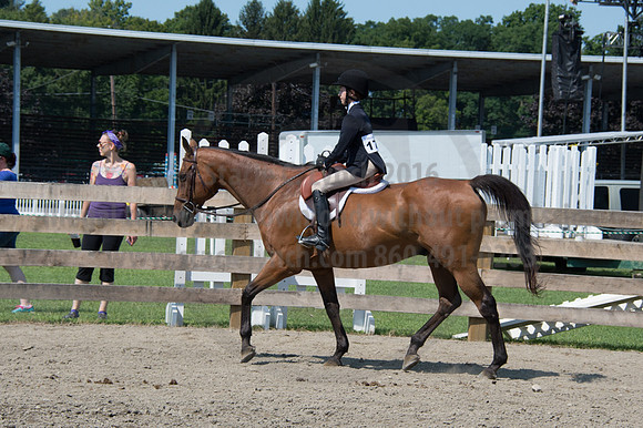 2016DCF_08242016_SCL_8767
