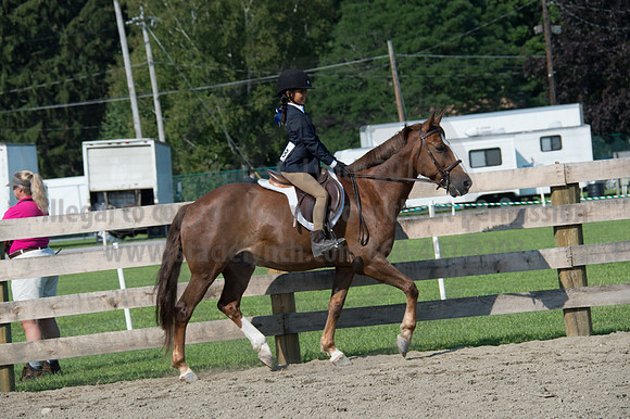 2016DCF_08242016_SCL_8607