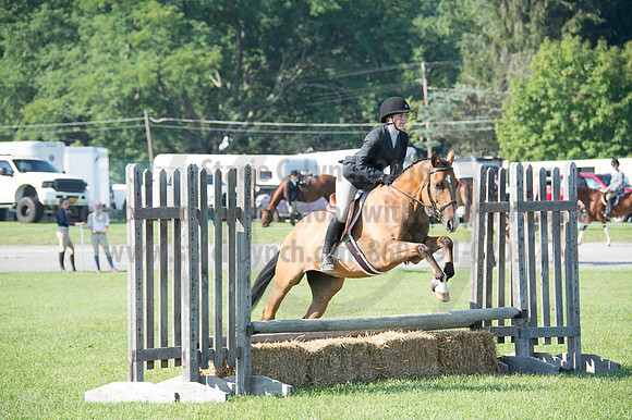 2016DCF_08262016_SCL_0179