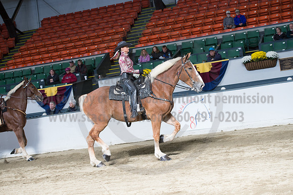 NABC8_10142016_SCL_8344