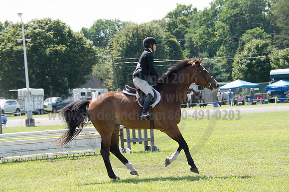 2016DCF_08262016_SCL_0692