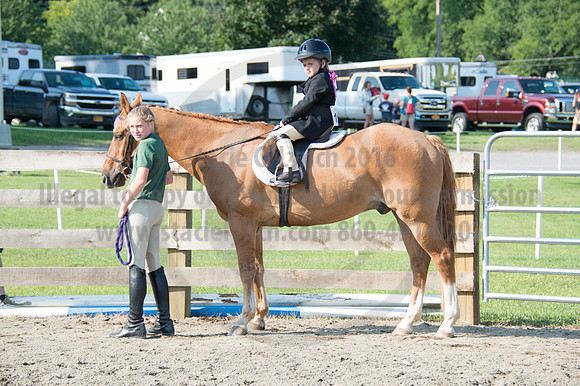 2016DCF_08242016_SCL_8516