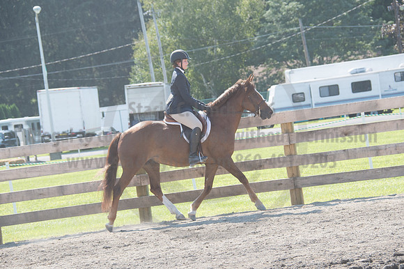 2016DCF_08242016_SCL_9297