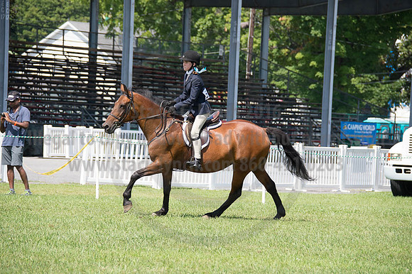 2016DCF_08262016_SCL_0484
