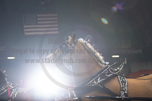 BigE_09272024_SCL1040