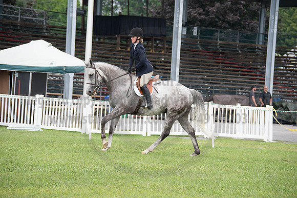 2016DCF_08262016_SCL_0390
