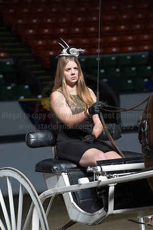 NABC8_10152016_SCL_0428