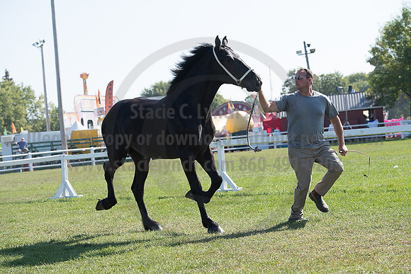 Carp_09222017_SCL_2749
