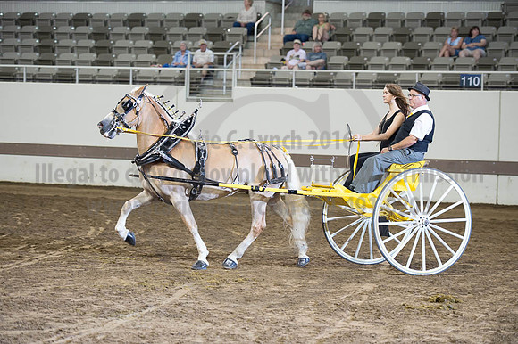 ISF_08182016_SCL_3504