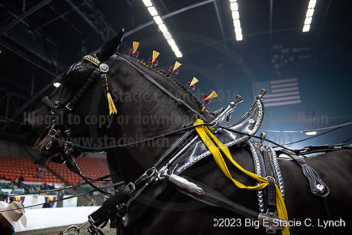 BigE_20230928-SCL-7032