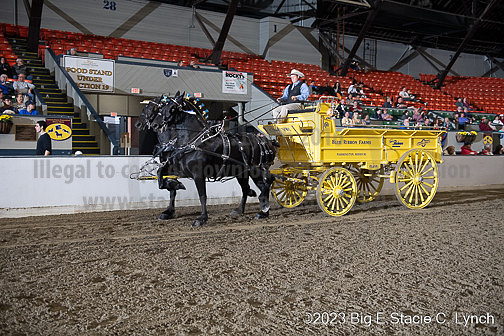 BigE_20230928-SCL-6705