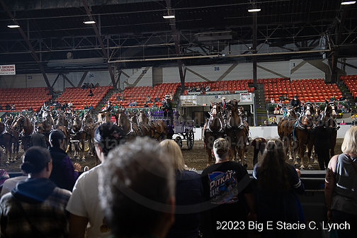 BigE_20230928-SCL-6906
