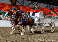 14-Clydesdale Team Hitch