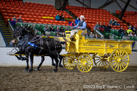 15-Open Mare Team Hitch
