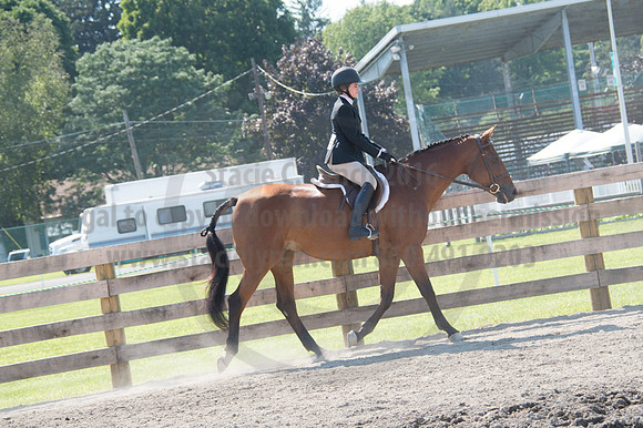 2016DCF_08242016_SCL_9302