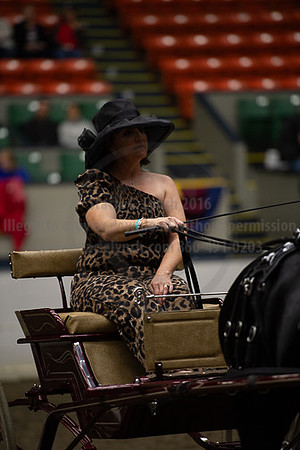 BigE_20230929-SCL-7394