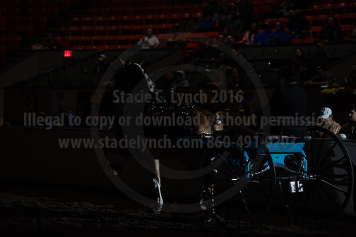 BigE_20230929-SCL-7517