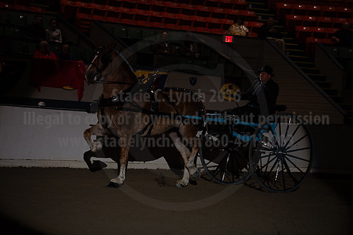 BigE_20230929-SCL-7520
