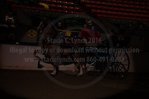 BigE_20230929-SCL-7521