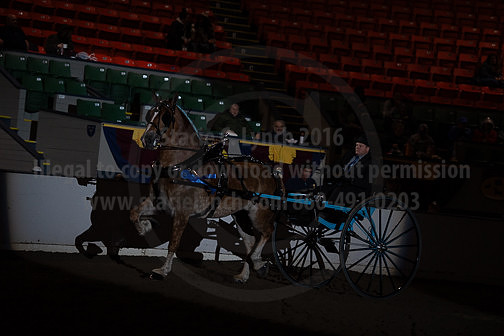 BigE_20230929-SCL-7526