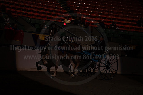 BigE_20230929-SCL-7527