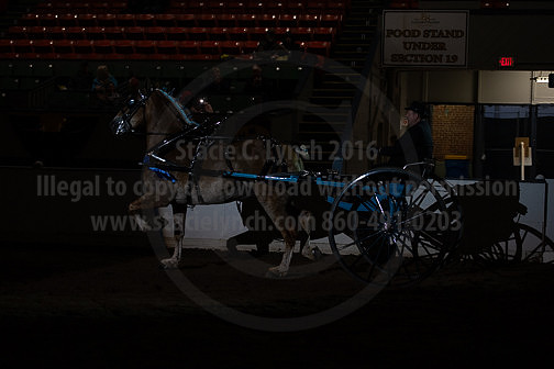 BigE_20230929-SCL-7525