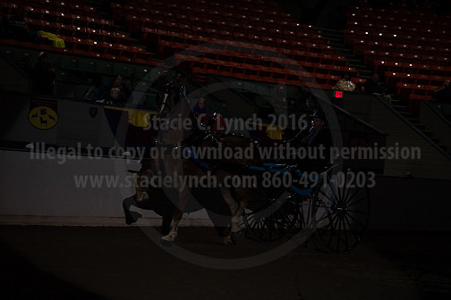 BigE_20230929-SCL-7528